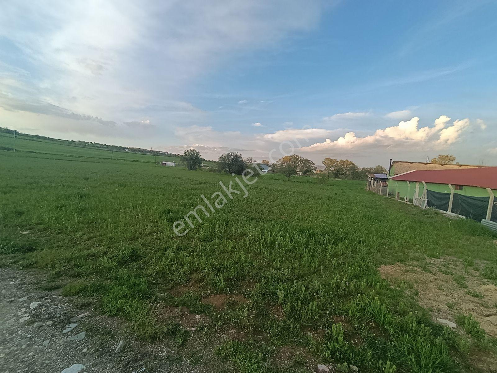 Larimar'dan Beşik Köyünde Sulu Bölgede Satılık 3,643 M2 Arazi - Görsel 12