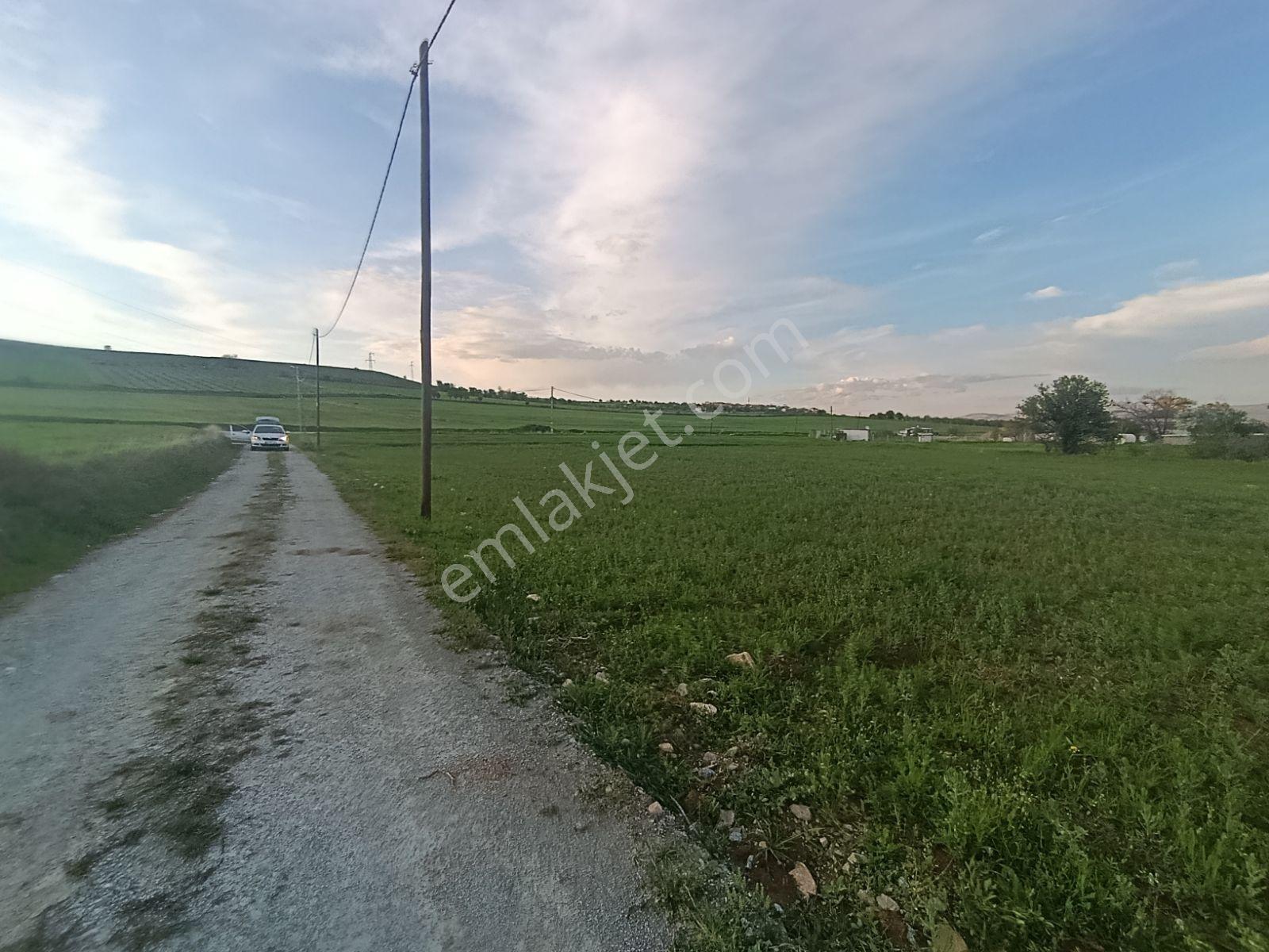 Larimar'dan Beşik Köyünde Sulu Bölgede Satılık 3,643 M2 Arazi - Görsel 9