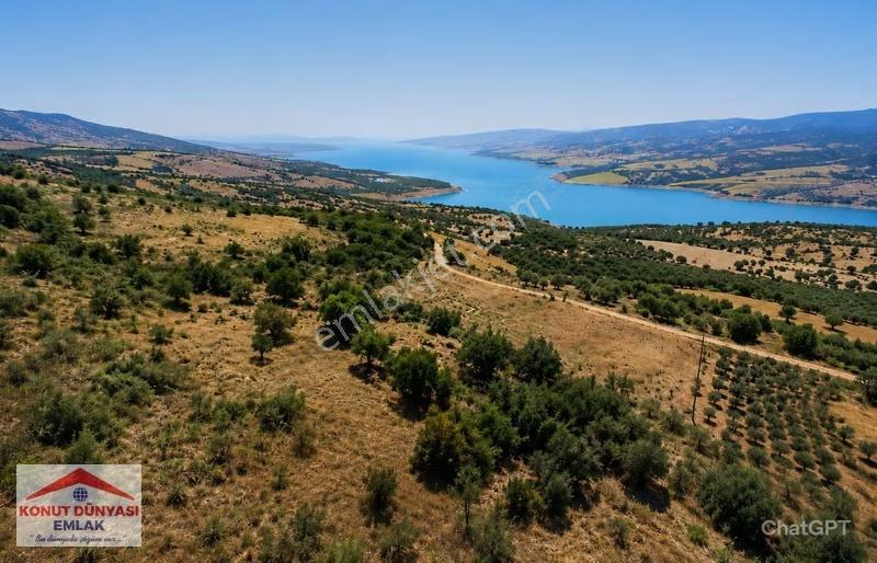 Alırken Kazanın! Güneyyurtta Yatırımlık Emsalsiz Tarla