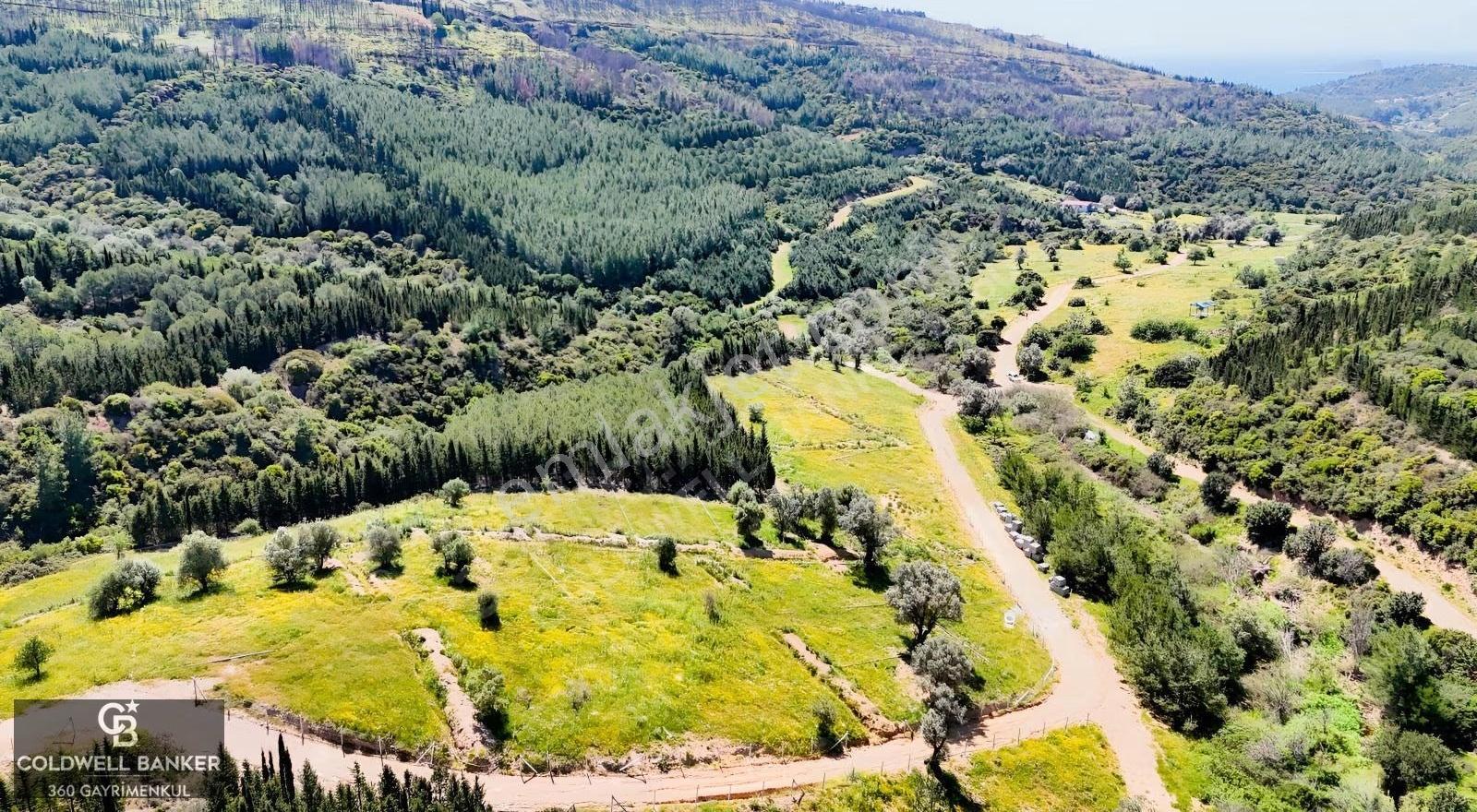 Seferihisar /atatürk Mah. Satılık 8,326 M2 Müstakil Tapu Tarla - Görsel 16