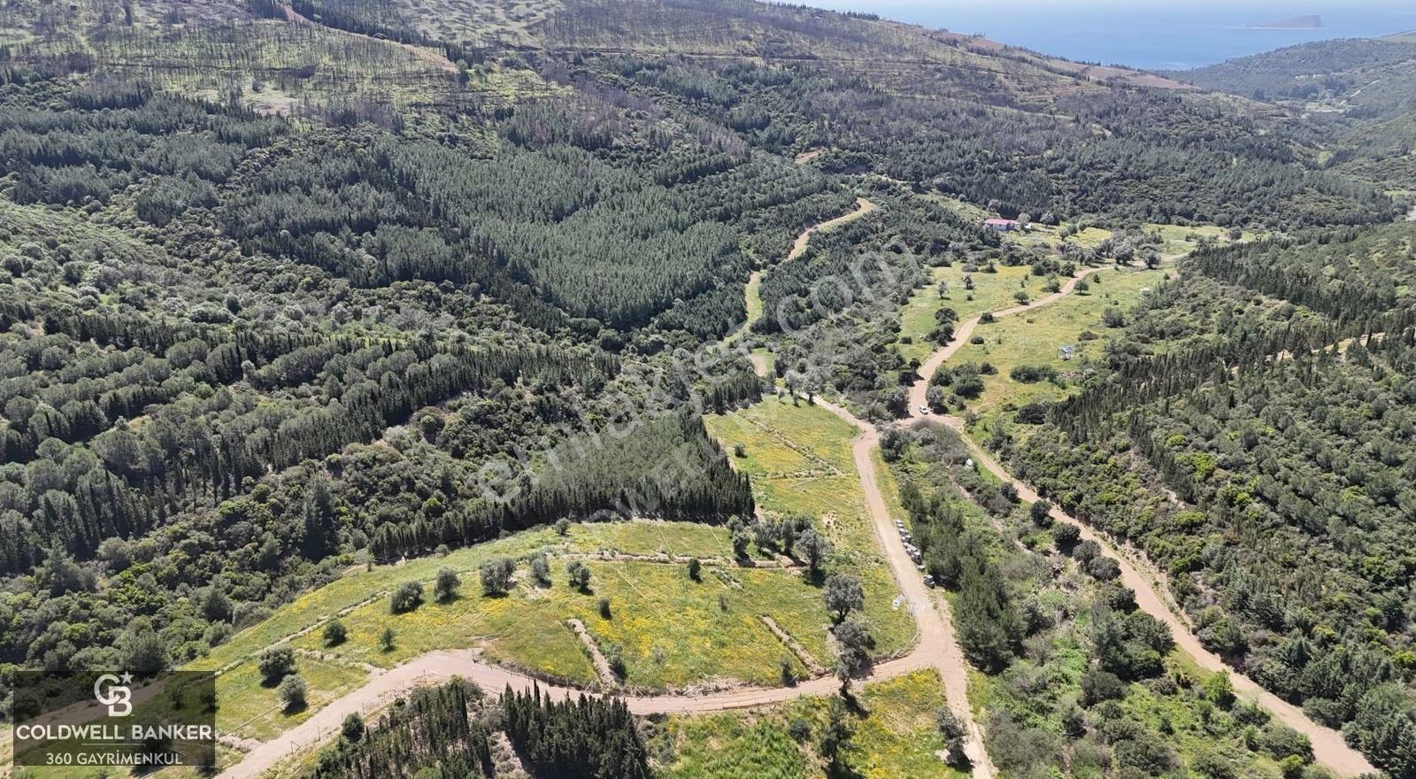 Seferihisar /atatürk Mah. Satılık 8,326 M2 Müstakil Tapu Tarla - Görsel 14