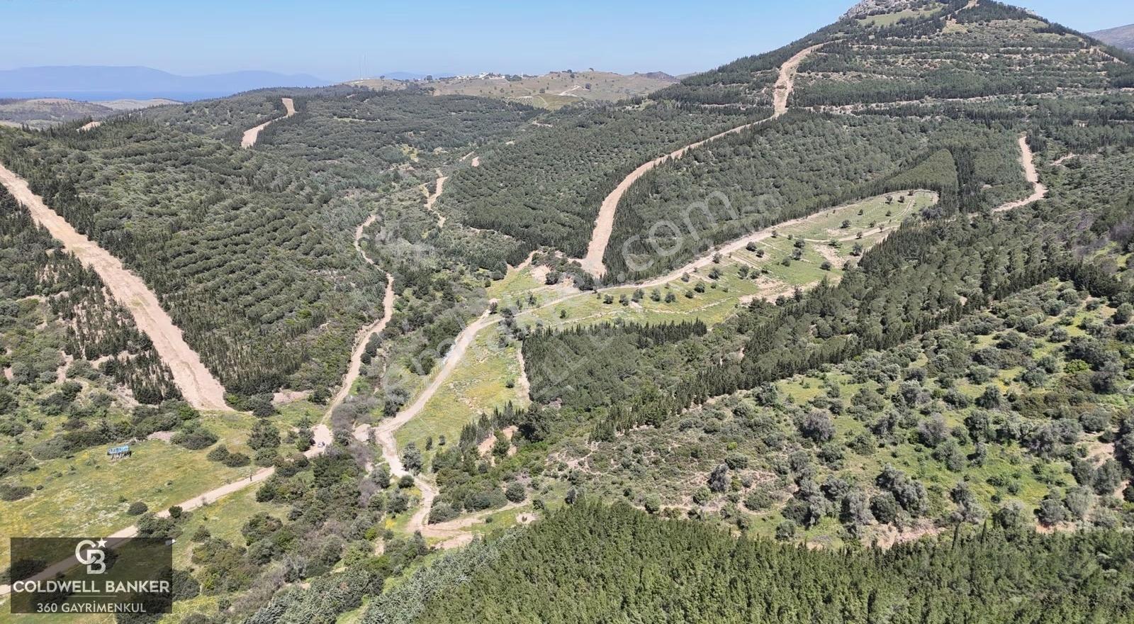 Seferihisar /atatürk Mah. Satılık 8,326 M2 Müstakil Tapu Tarla - Görsel 7