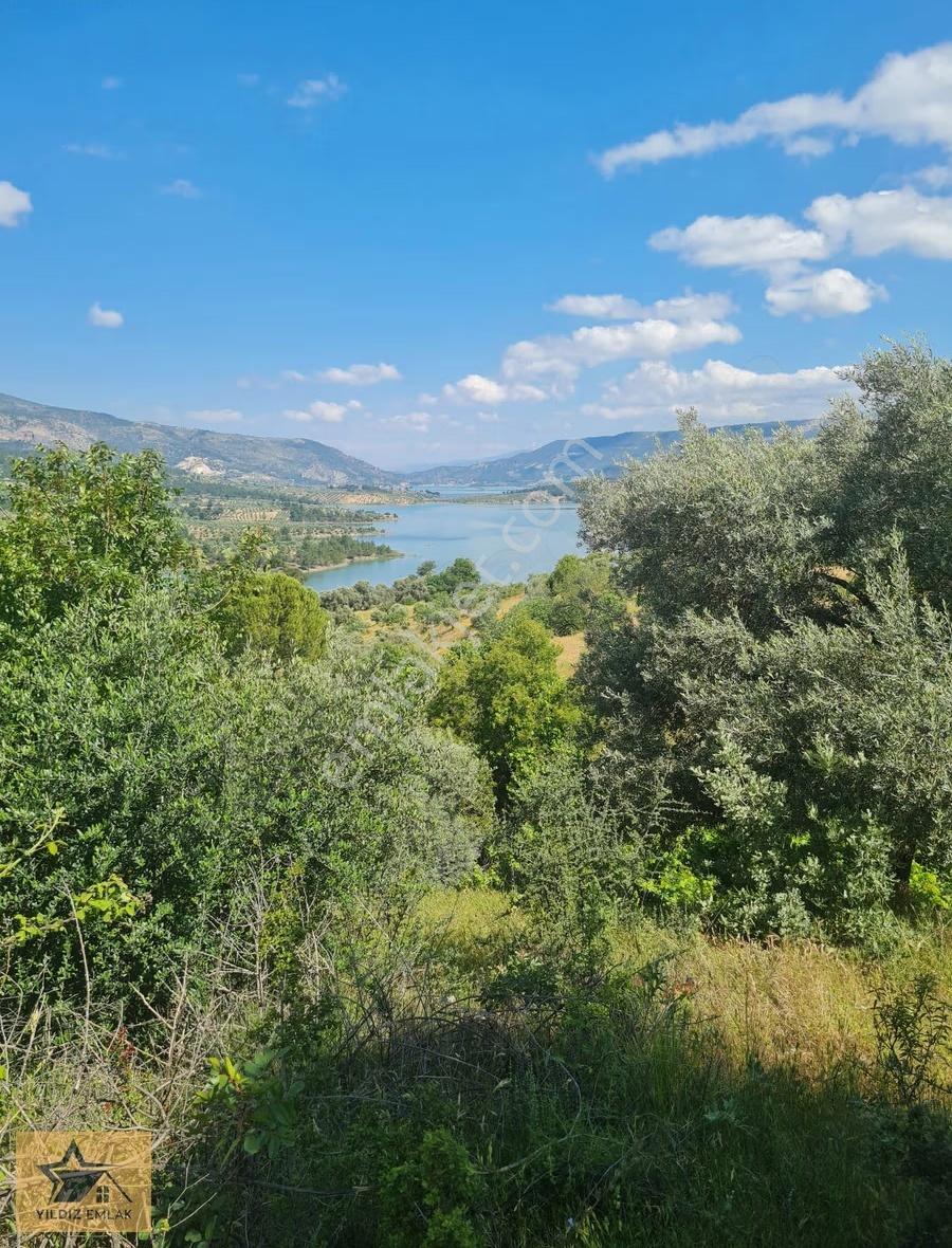 Aydın Bozdoğan Kemer Barajı Manzaralı Geniş Tarla Ve Kargir Ev - Görsel 2