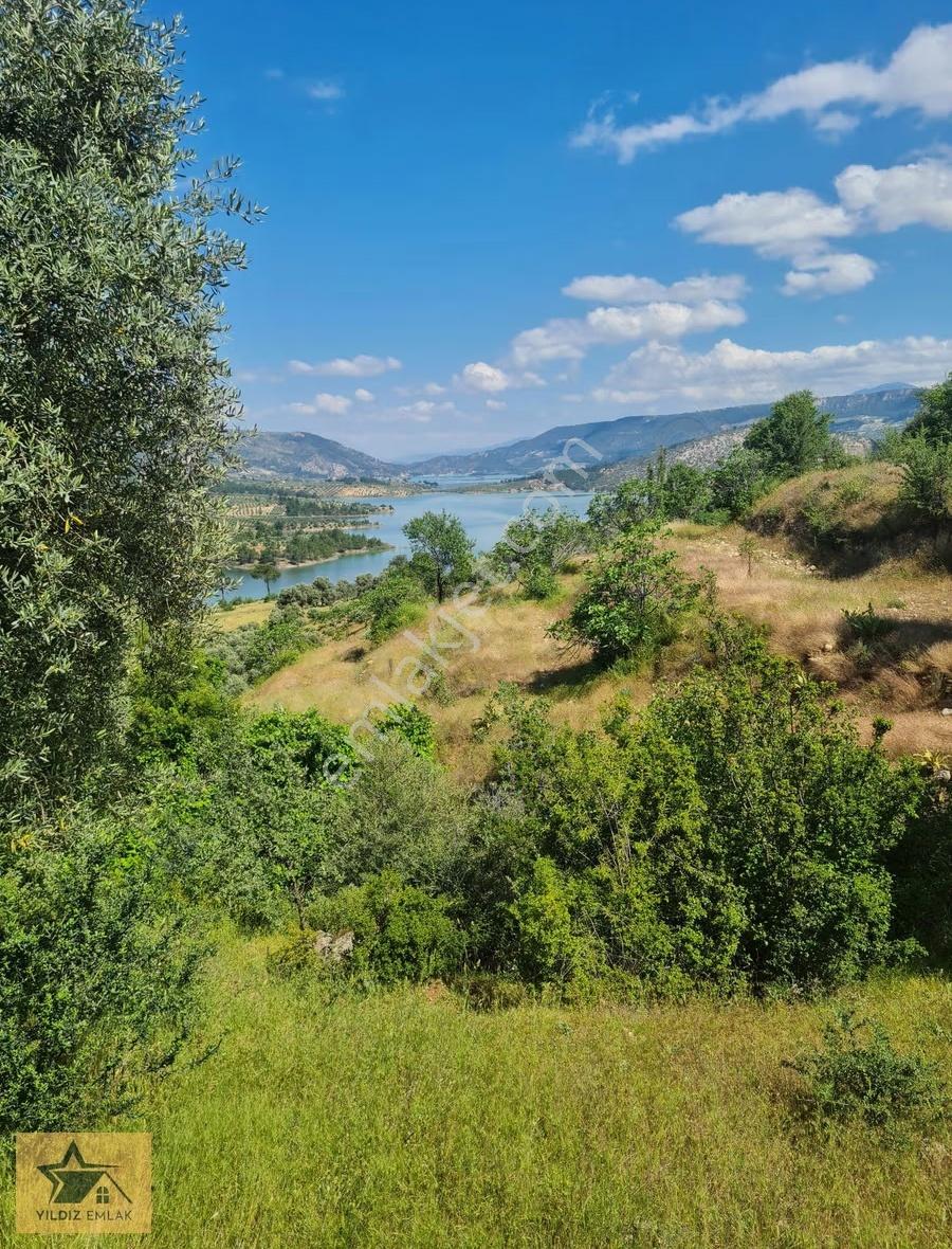 Aydın Bozdoğan Kemer Barajı Manzaralı Geniş Tarla Ve Kargir Ev - Görsel 16