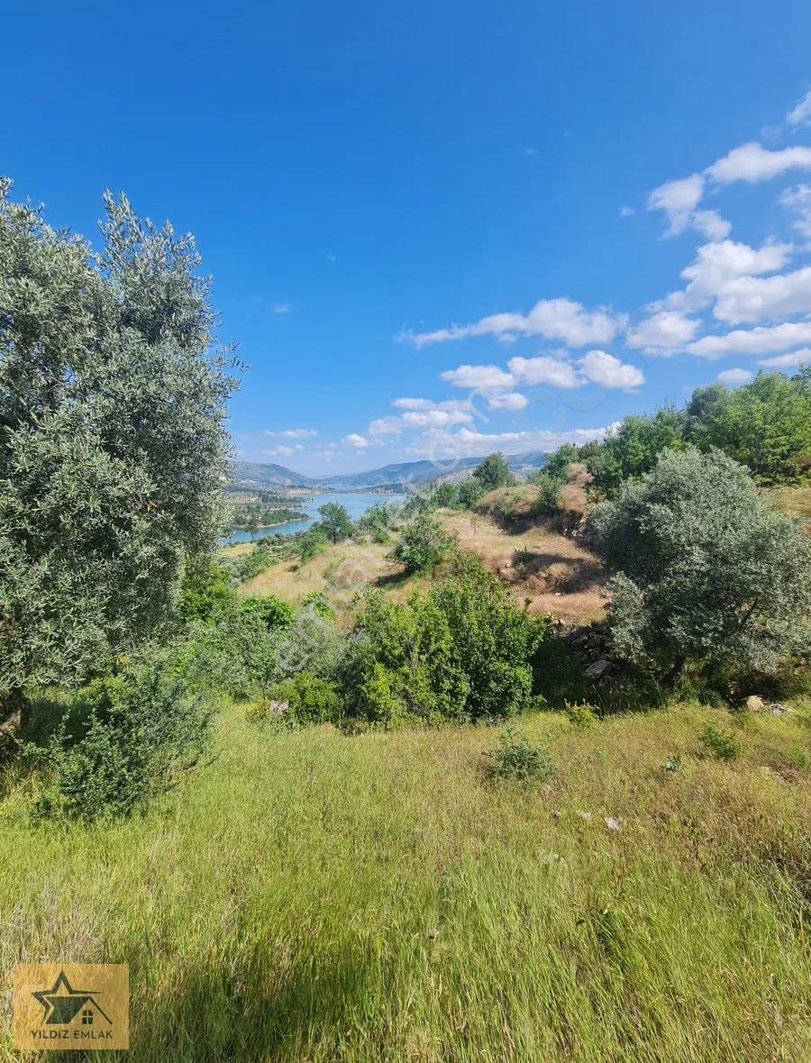 Aydın Bozdoğan Kemer Barajı Manzaralı Geniş Tarla Ve Kargir Ev - Görsel 28