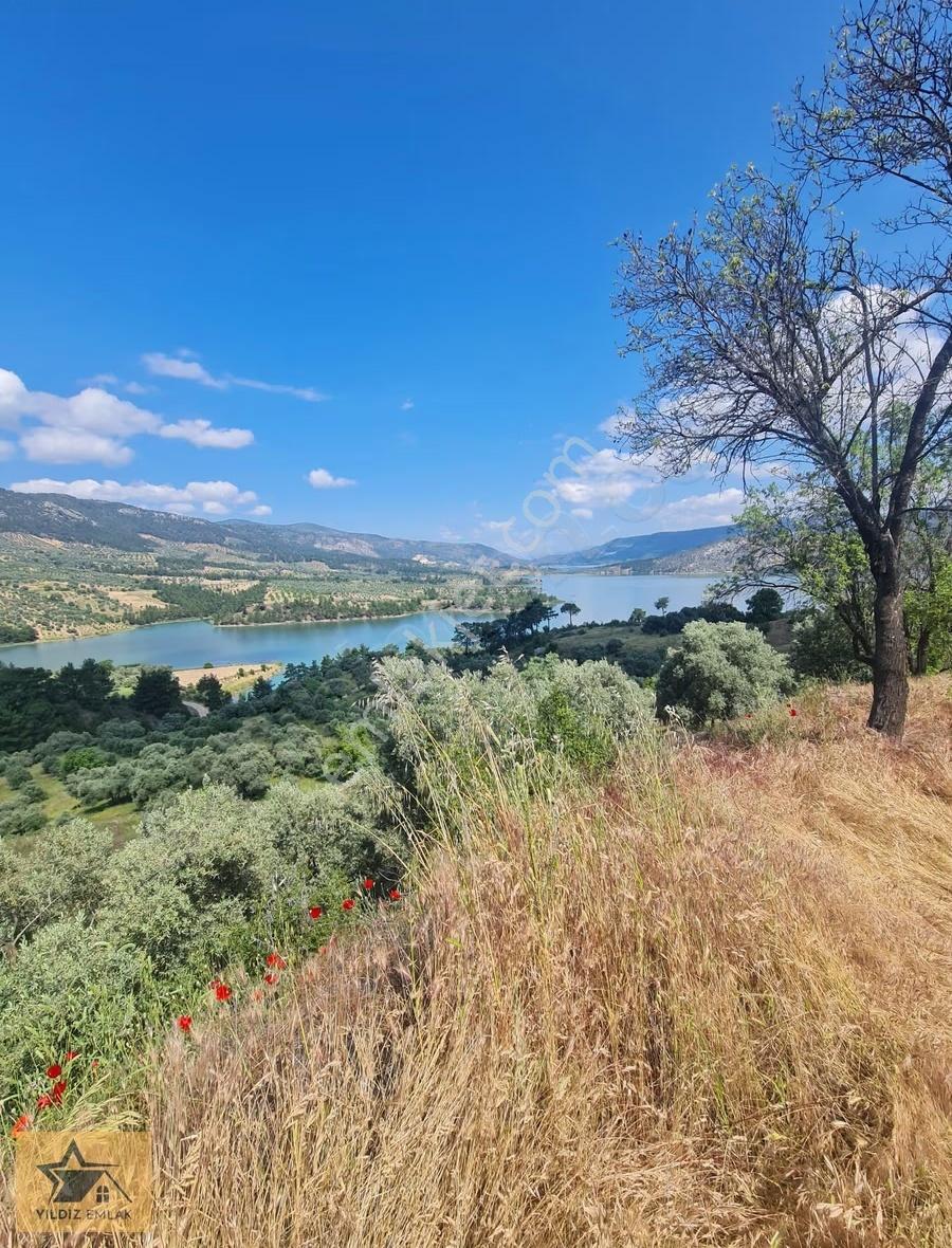 Aydın Bozdoğan Kemer Barajı Manzaralı Geniş Tarla Ve Kargir Ev - Görsel 7