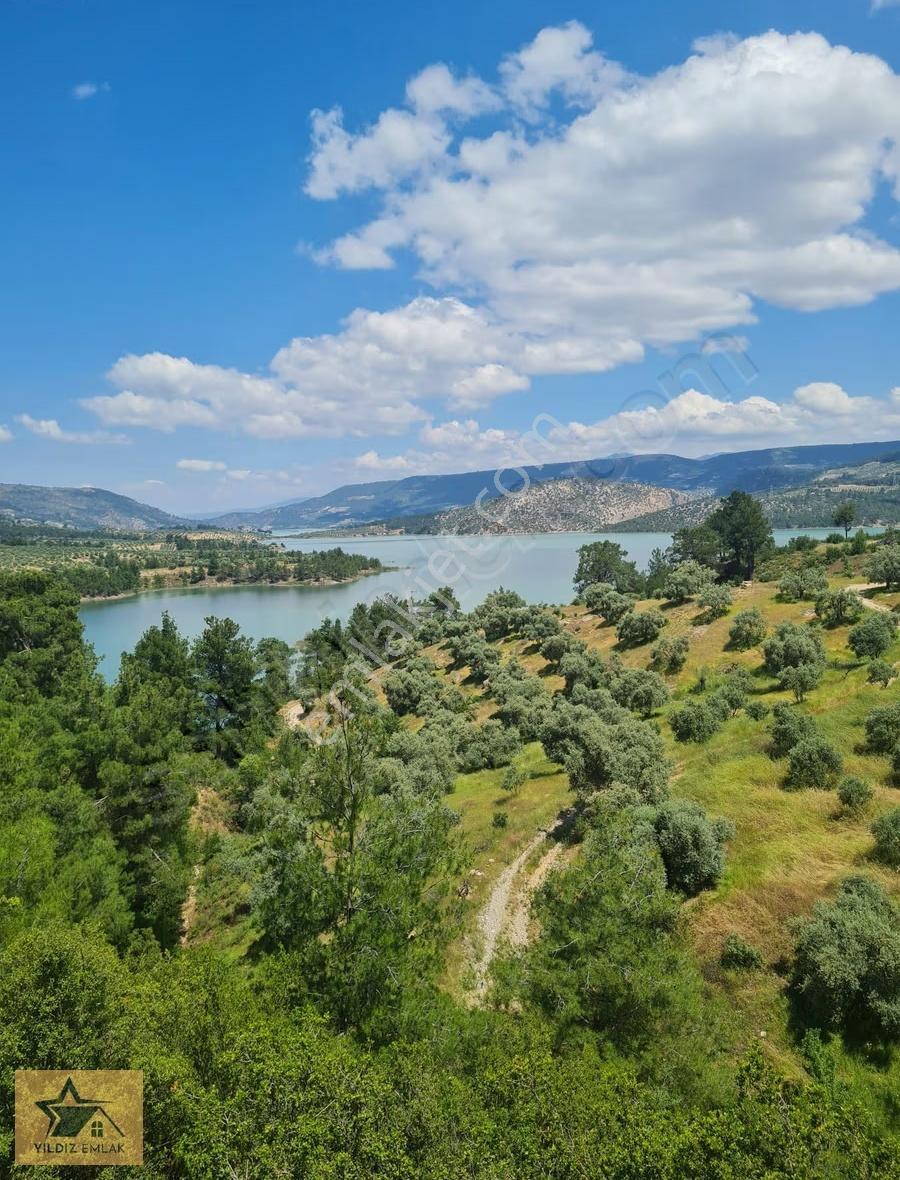Aydın Bozdoğan Kemer Barajı Manzaralı Geniş Tarla Ve Kargir Ev - Görsel 5
