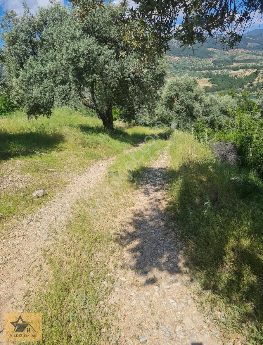 Aydın Bozdoğan Kemer Barajı Manzaralı Geniş Tarla Ve Kargir Ev - Görsel 29