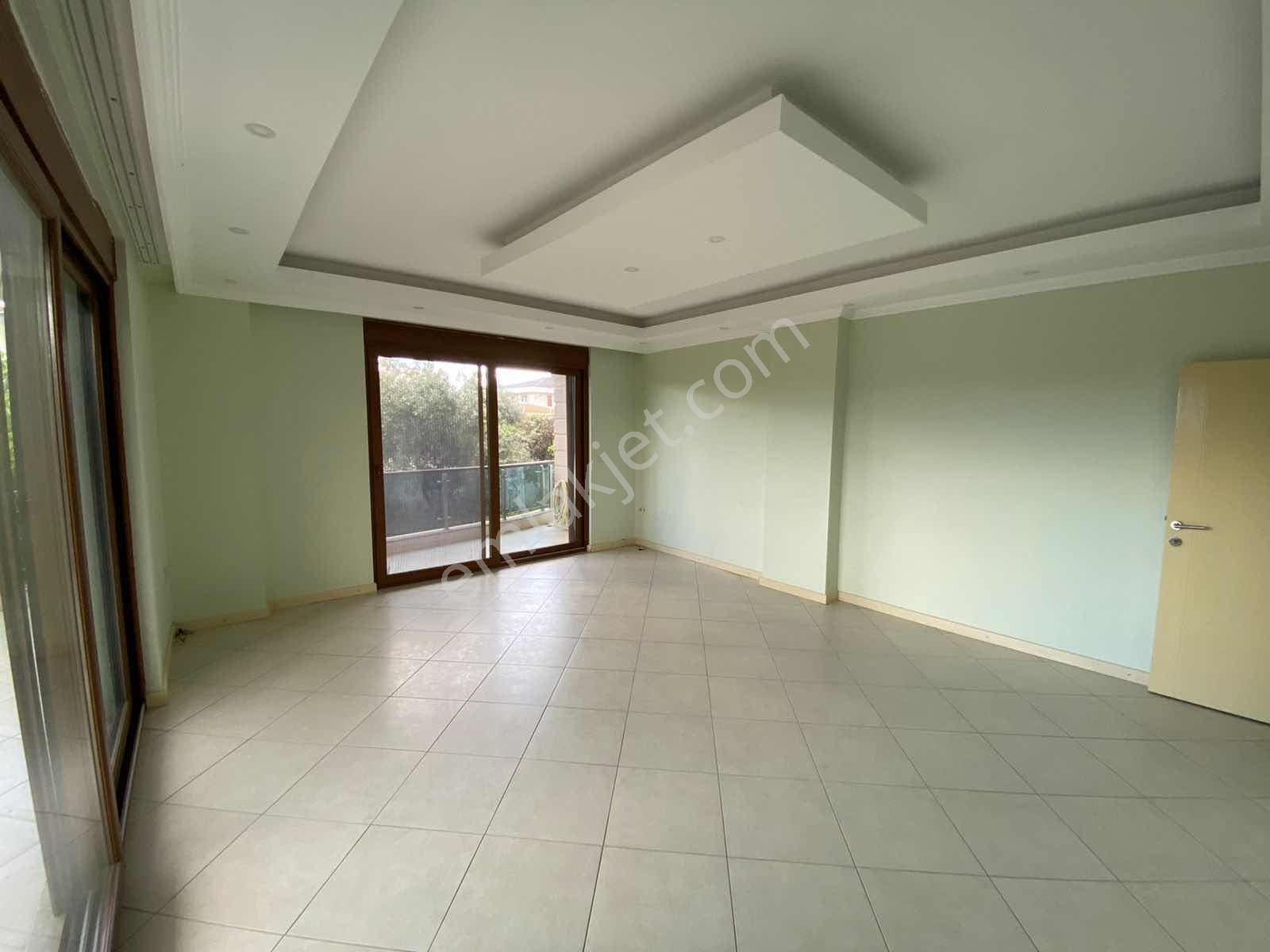 Doğayla İç İçe Boş Daire - Görsel 4