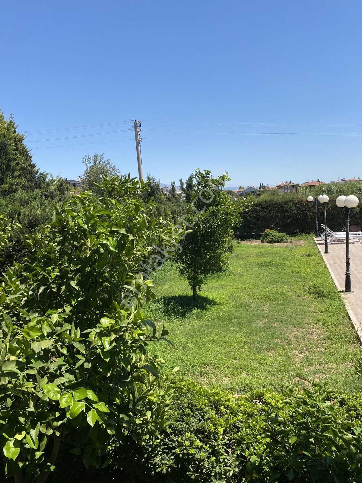 Doğayla İç İçe Boş Daire - Görsel 18