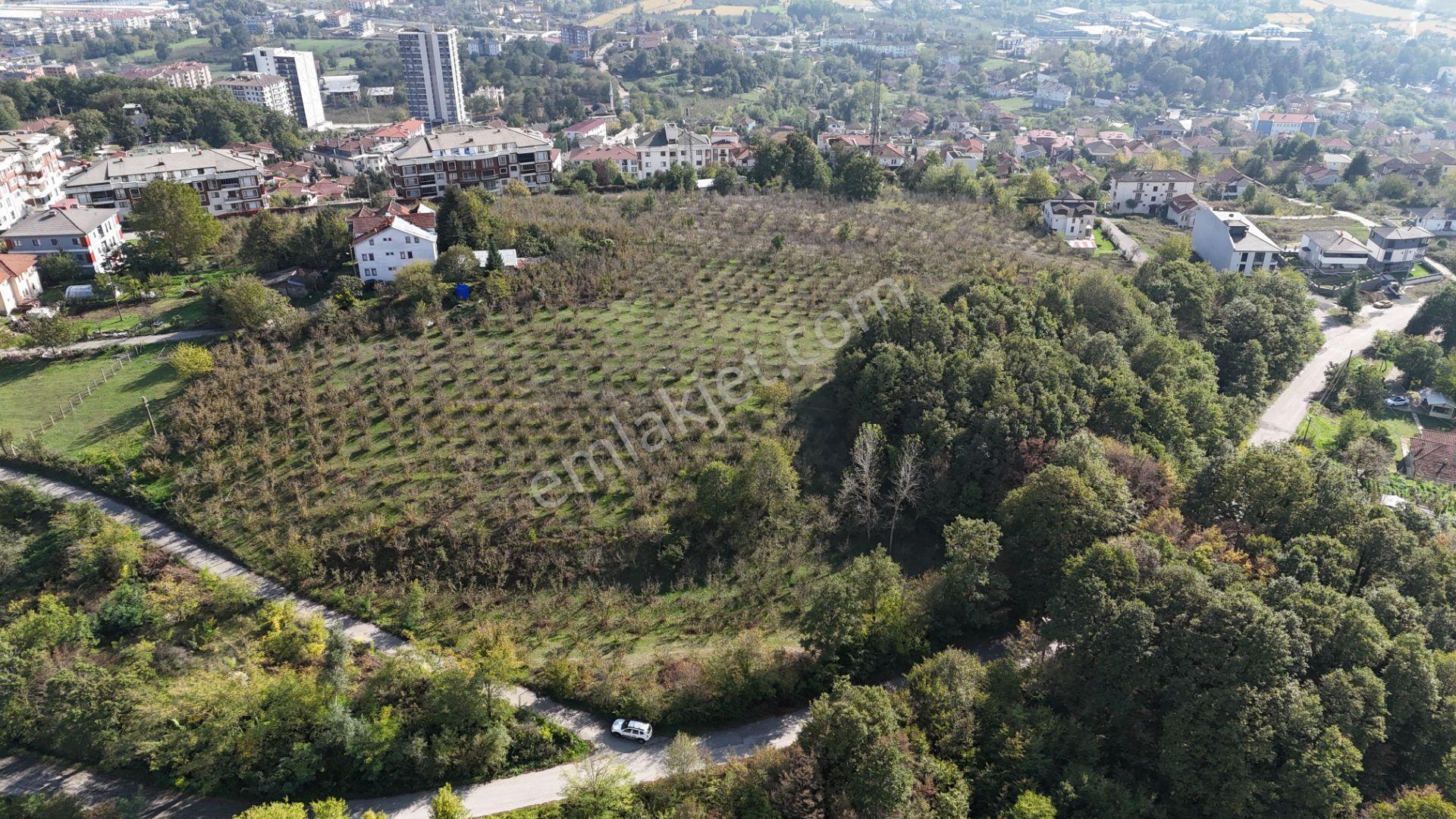 Konuralpte Satılık 3 Kat %40 Konut İmarlı 1756 M2 Arsa - Görsel 4