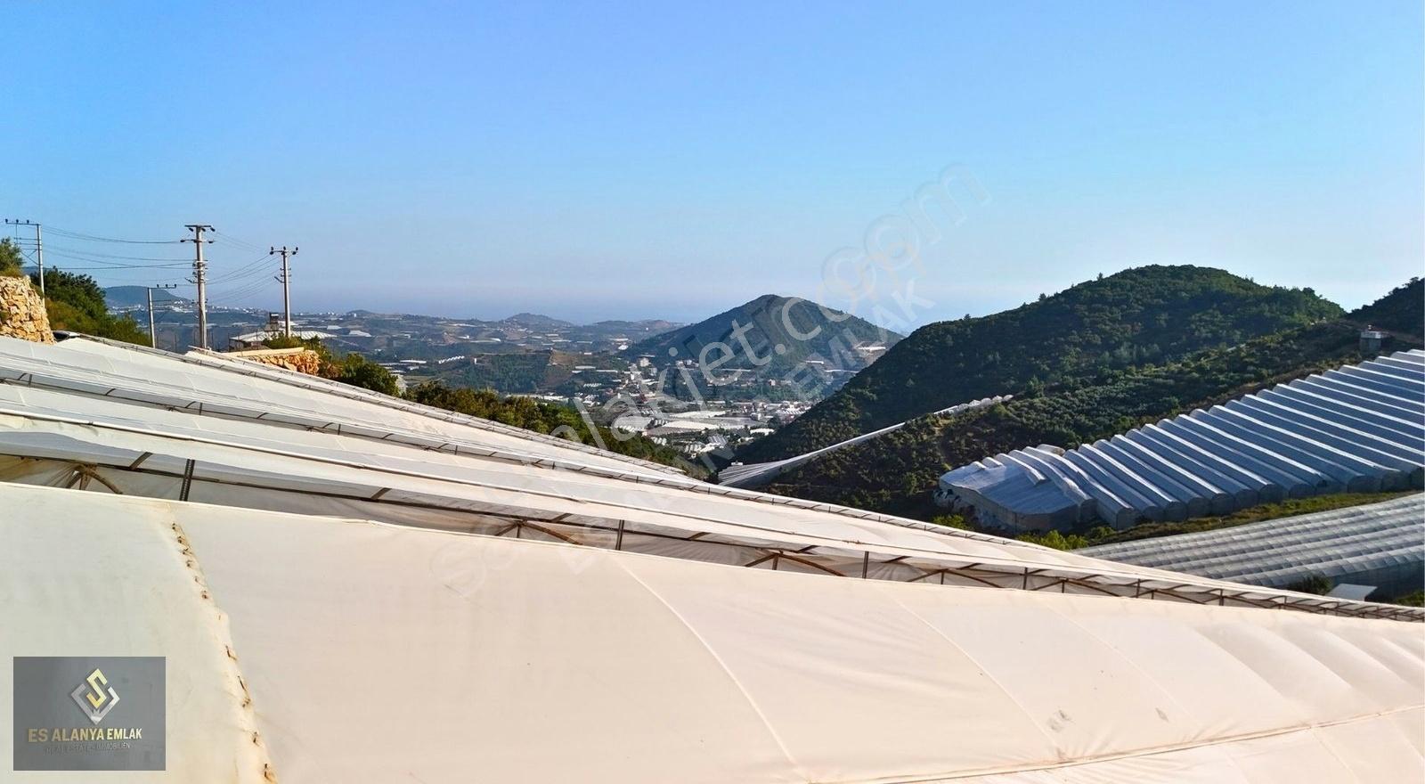 Satılık 12.500 M² Muz Serası, Alanya-toslak - Görsel 20