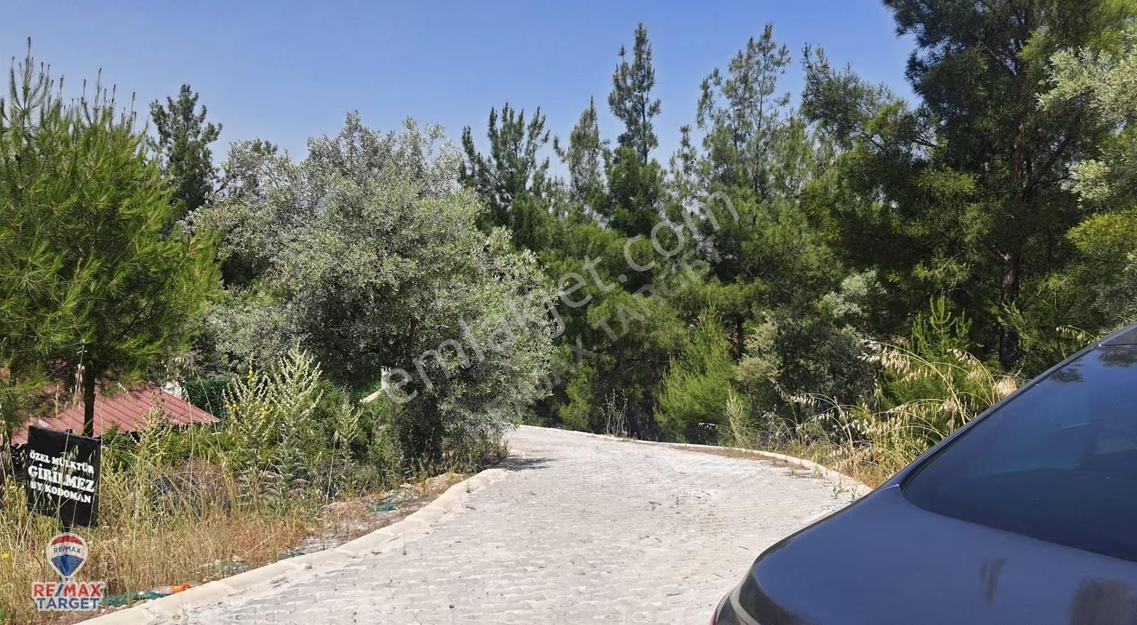 Torbalı Dirmil'de Yola Cepheli, Yatırımlık Tek Tapu Zeytinlik - Görsel 12