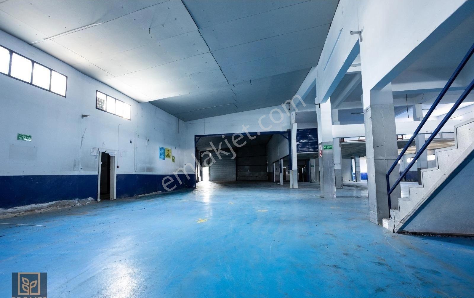 Kartal'da 2.800m² Kiralık Fabrika, Depo & Ofis 800 Kva Trafolu - Görsel 17