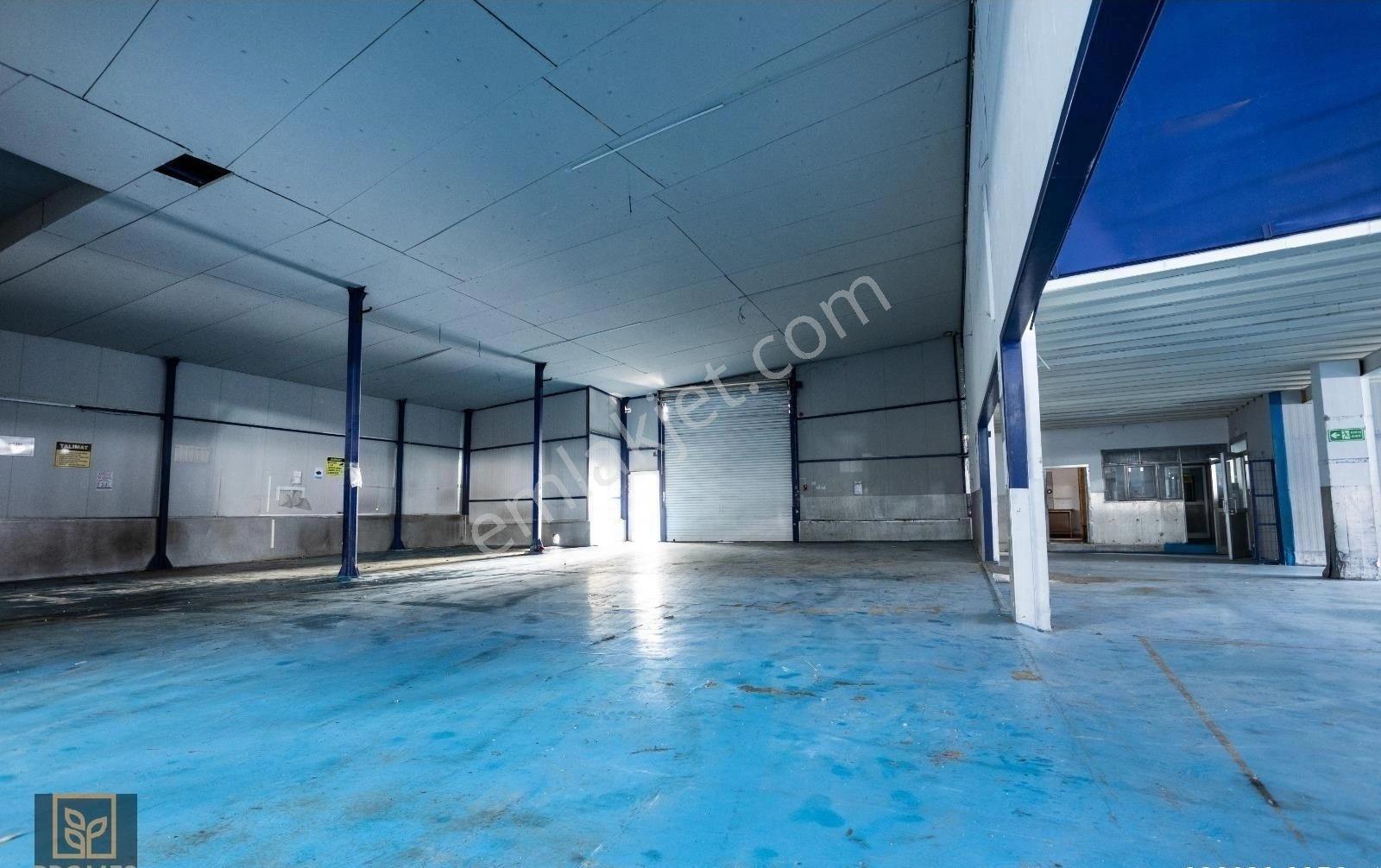 Kartal'da 2.800m² Kiralık Fabrika, Depo & Ofis 800 Kva Trafolu - Görsel 15