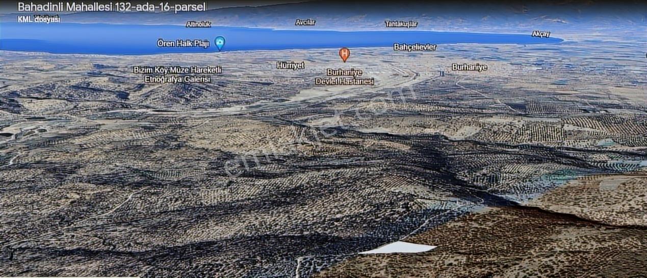 Burhaniye Bahadınlıda Resmi Yol/deniz Manzaralı 5320m² Zeytinlik - Görsel 4