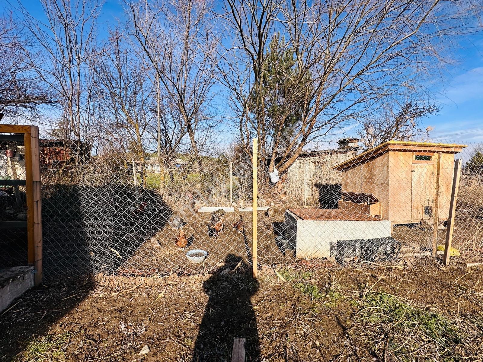 Eskişehi Yörükakçayır'da 1.665 M² Tarla İçerisinde Betonarme Ev - Görsel 32