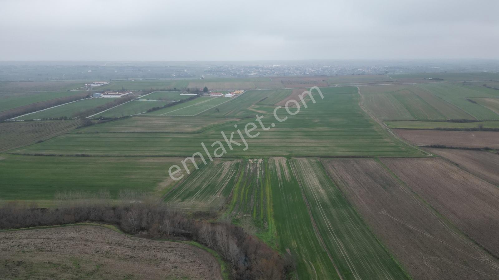 Tekirdağ Saray Çayla Tarladan 4.230 M² Hisse - Görsel 23