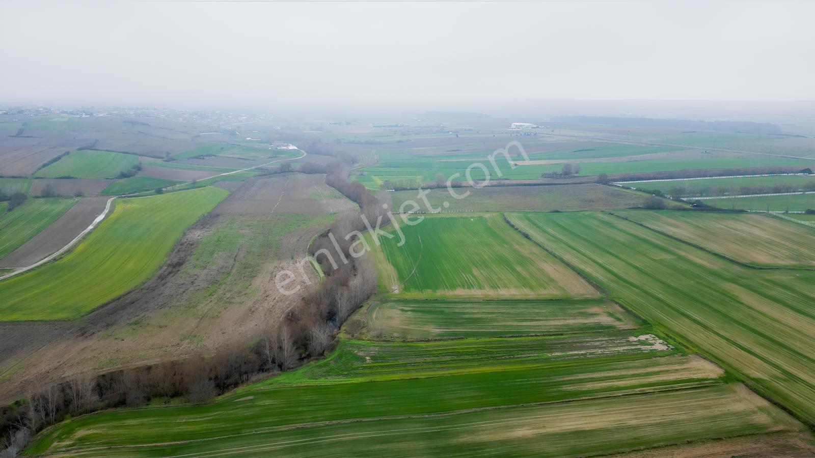 Tekirdağ Saray Çayla Tarladan 4.230 M² Hisse - Görsel 8