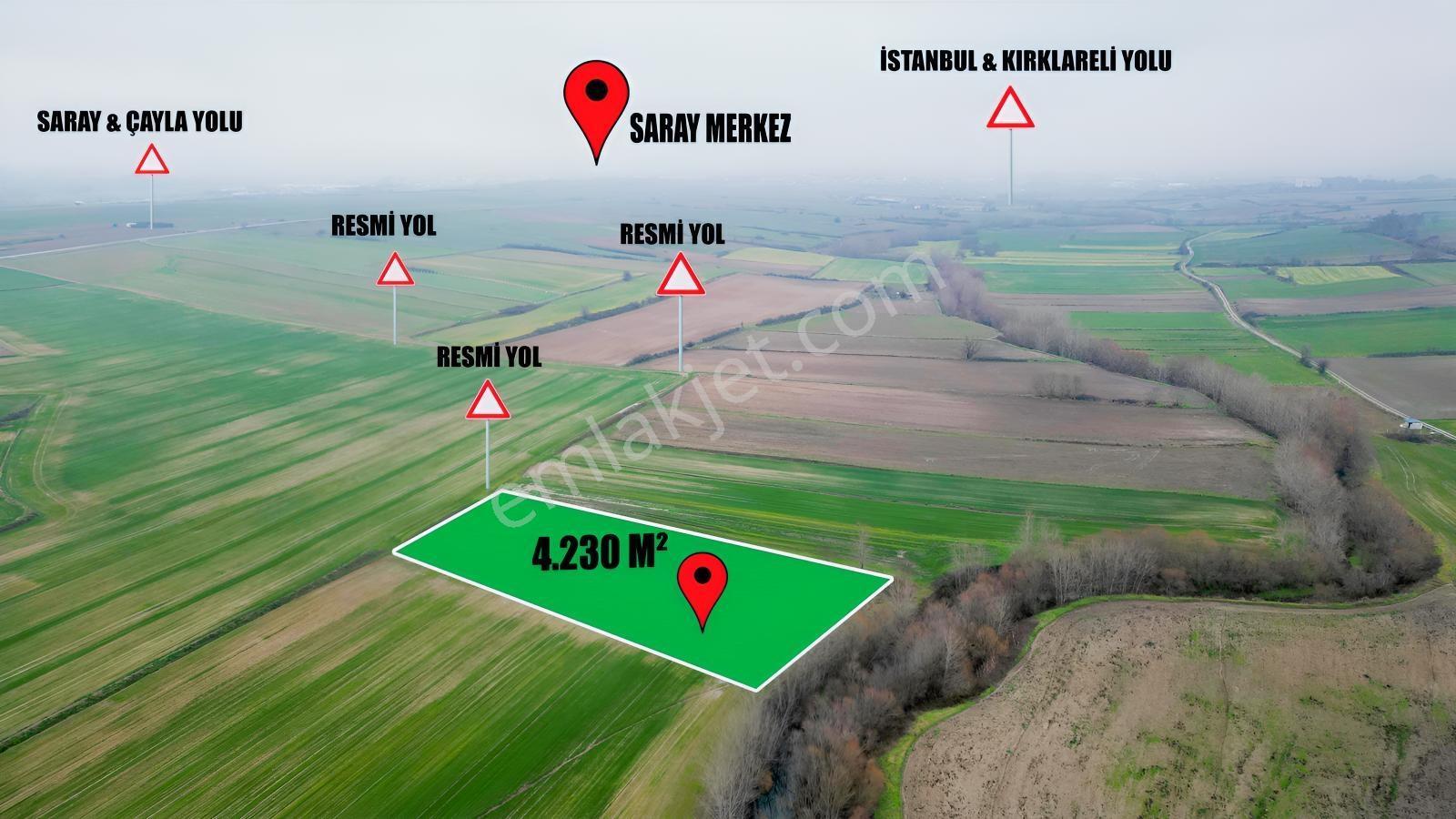 Tekirdağ Saray Çayla Tarladan 4.230 M² Hisse - Görsel 11