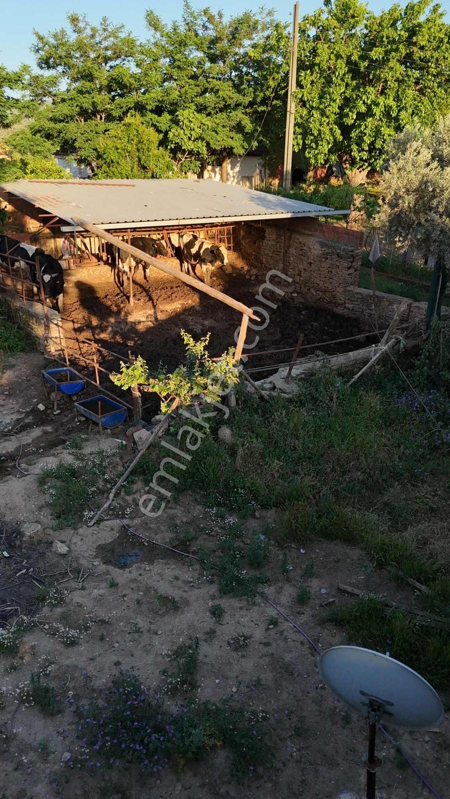 Avunduruk Mahhalesinde Ana Yol Cepheli Müstakil Ev Ve Dam - Görsel 9