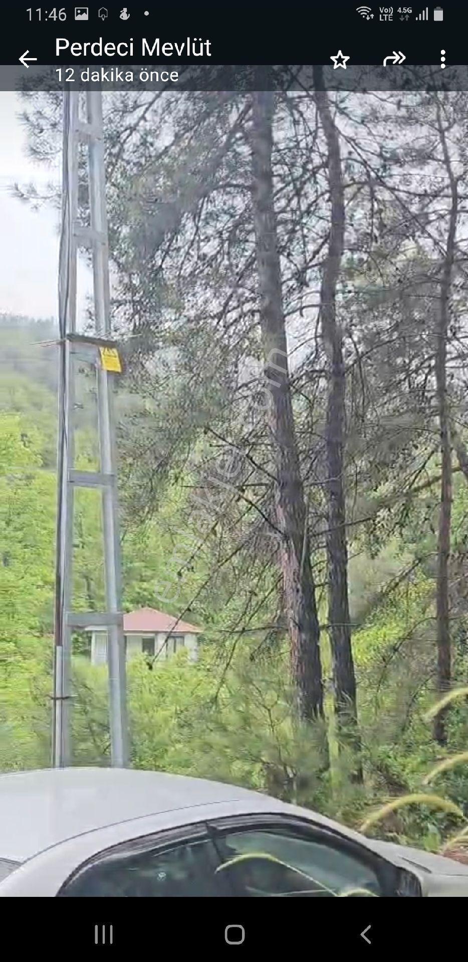 Sakarya Gevyede 2433 M2 Bshçe - Görsel 4
