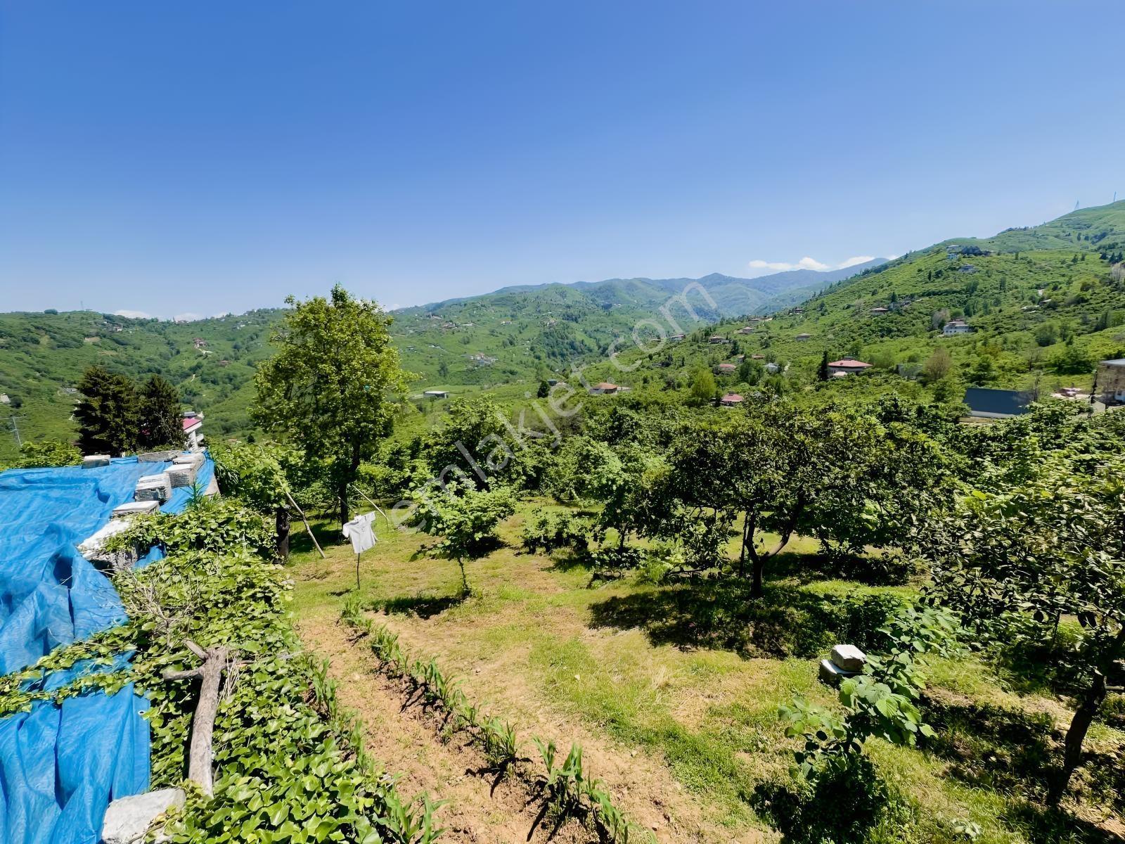 Trabzon Yomra Yokuşlu Mah. 2000m2 Arsa - Görsel 3