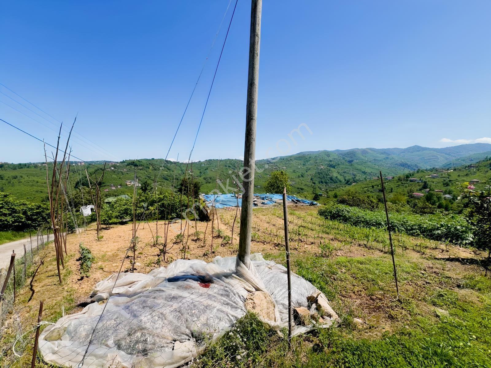 Trabzon Yomra Yokuşlu Mah. 2000m2 Arsa - Görsel 9