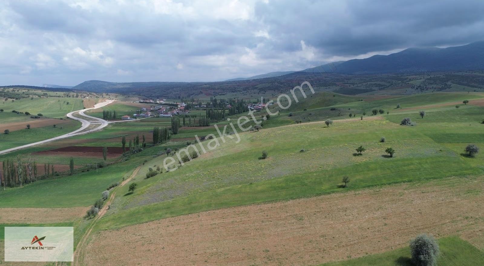 Güneysınır Kayaağzı Mahallesinde 4.956 M² Müstakil Tapulu Tarla - Görsel 6