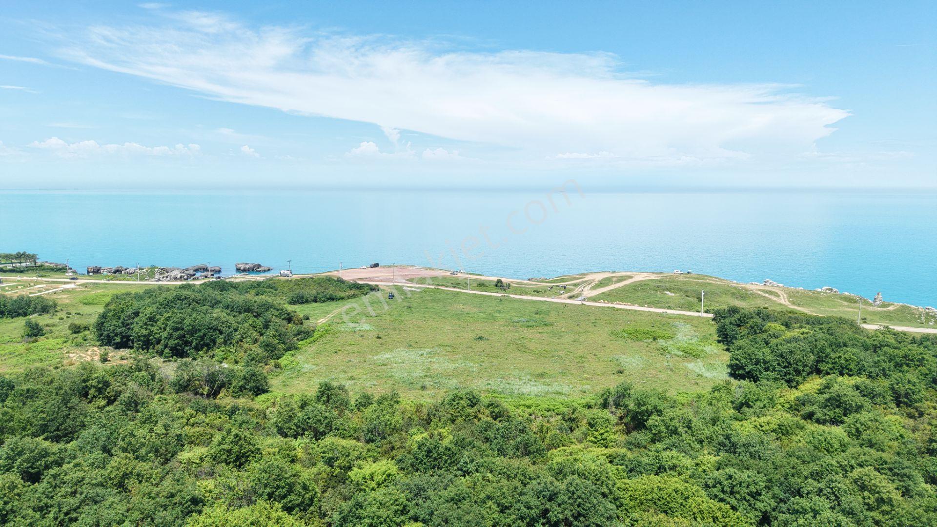 İmarın Yanı Arkası Orman Önü Deniz 1093 M2 Eşsiz Satılık Hisse - Görsel 8