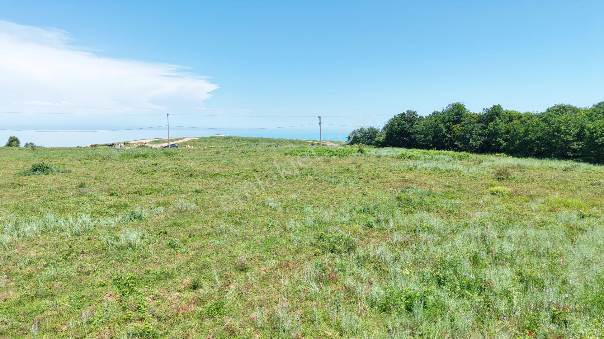 İmarın Yanı Arkası Orman Önü Deniz 1093 M2 Eşsiz Satılık Hisse - Görsel 24