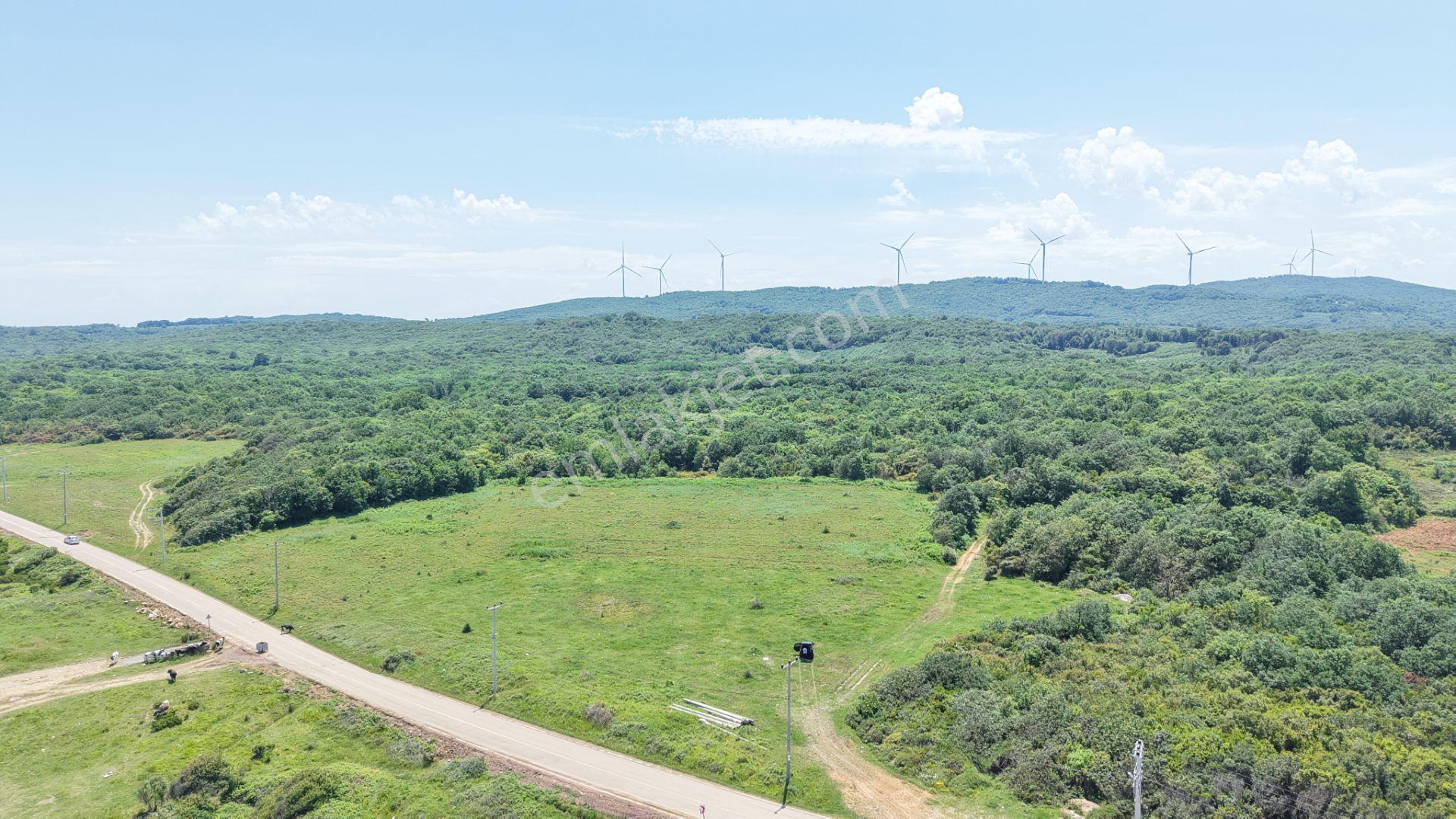 İmarın Yanı Arkası Orman Önü Deniz 1093 M2 Eşsiz Satılık Hisse - Görsel 14