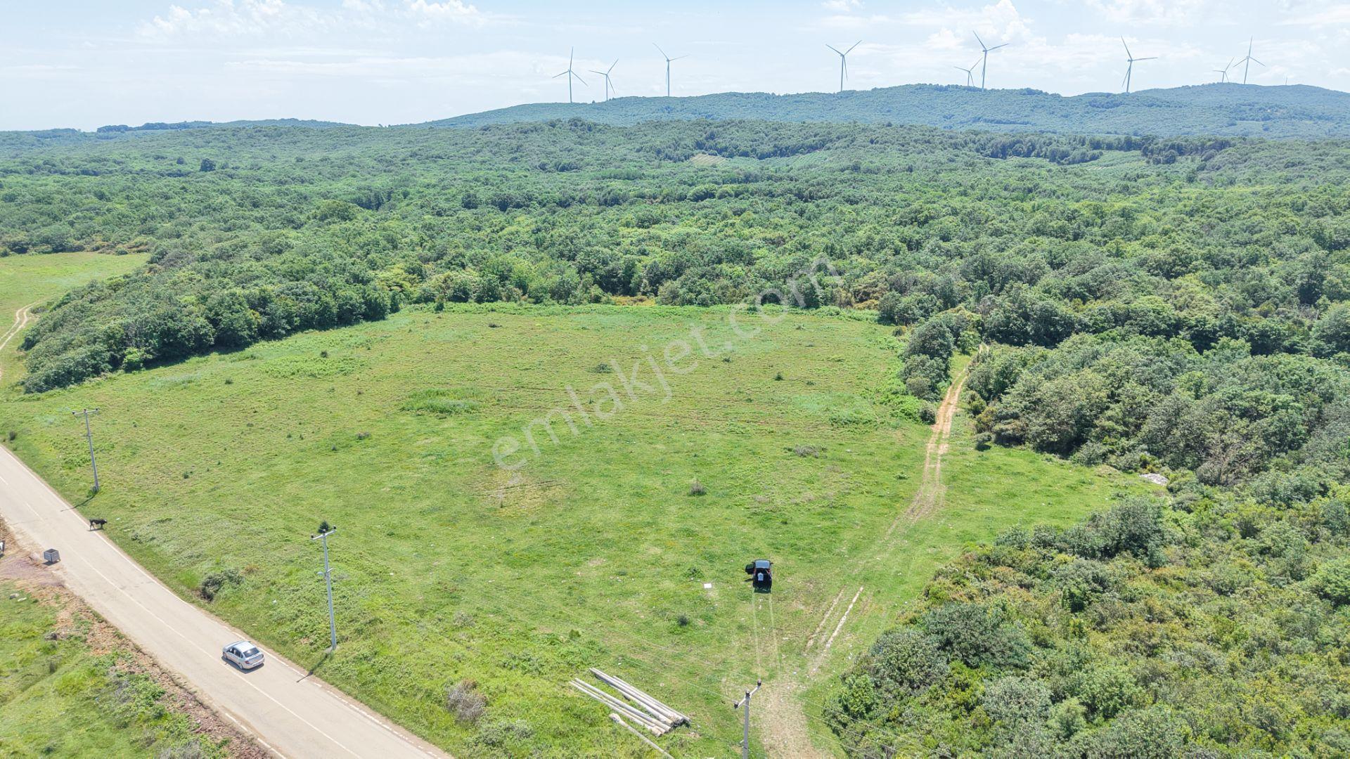 İmarın Yanı Arkası Orman Önü Deniz 1093 M2 Eşsiz Satılık Hisse - Görsel 13