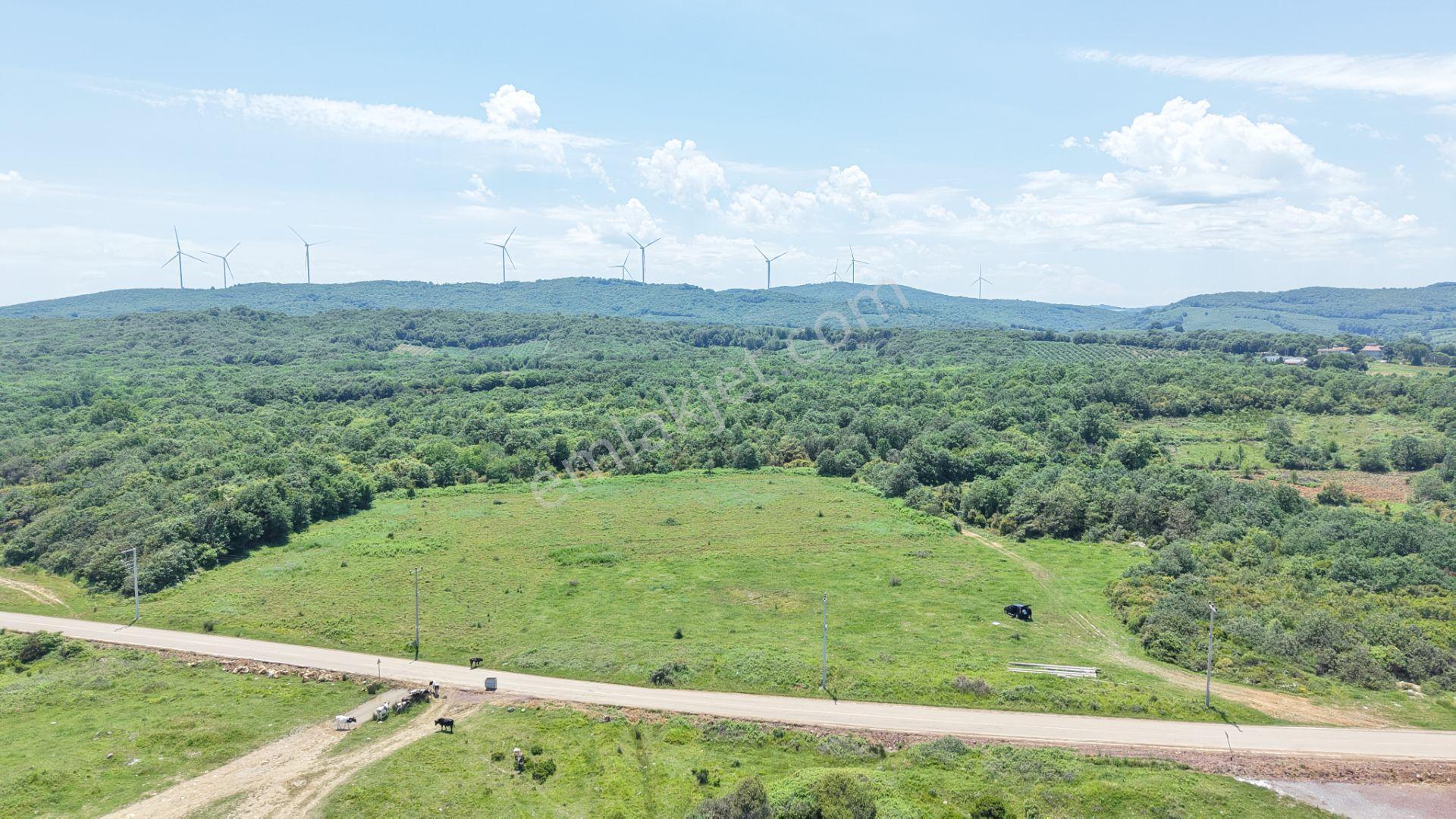 İmarın Yanı Arkası Orman Önü Deniz 1093 M2 Eşsiz Satılık Hisse - Görsel 15