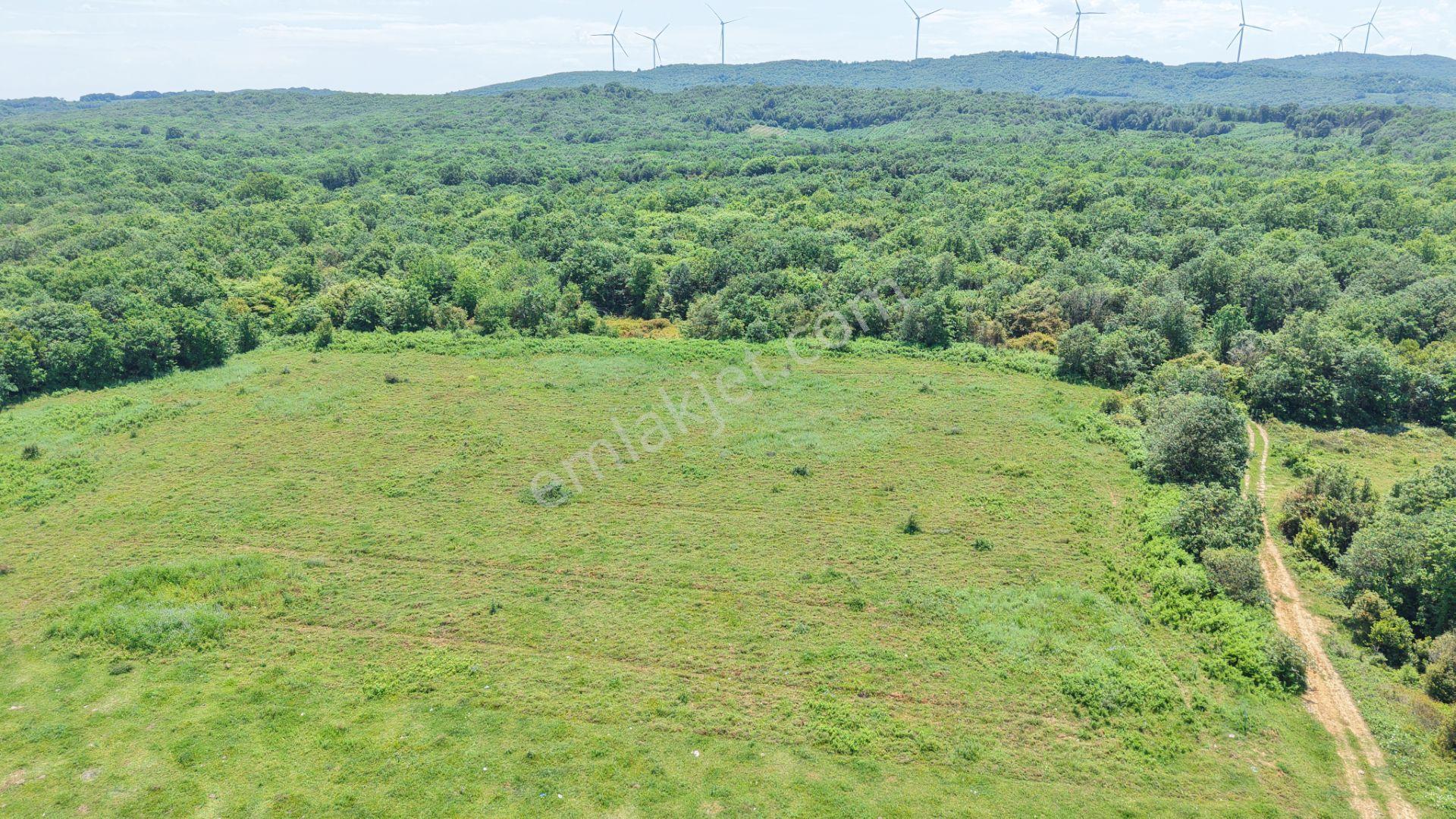 İmarın Yanı Arkası Orman Önü Deniz 1093 M2 Eşsiz Satılık Hisse - Görsel 26