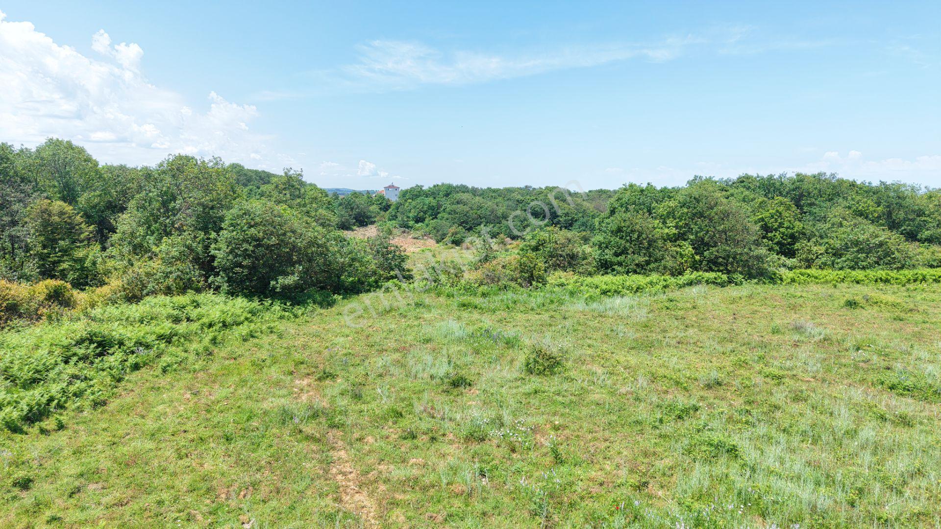 İmarın Yanı Arkası Orman Önü Deniz 1093 M2 Eşsiz Satılık Hisse - Görsel 22