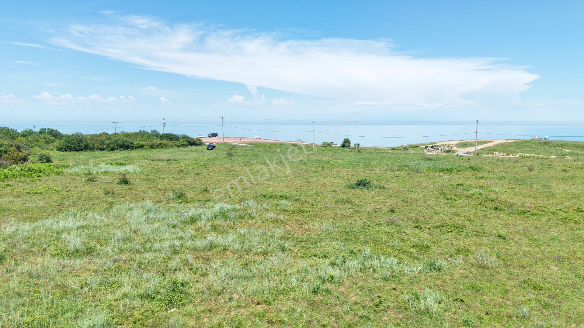 İmarın Yanı Arkası Orman Önü Deniz 1093 M2 Eşsiz Satılık Hisse - Görsel 19