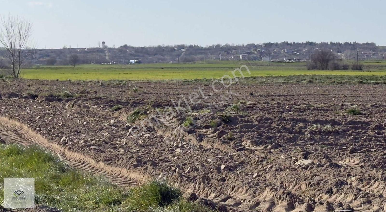 Babaeski Düğüncülü 4528 M2 Hızlıtrene Yakın Satılık Tarla - Görsel 11