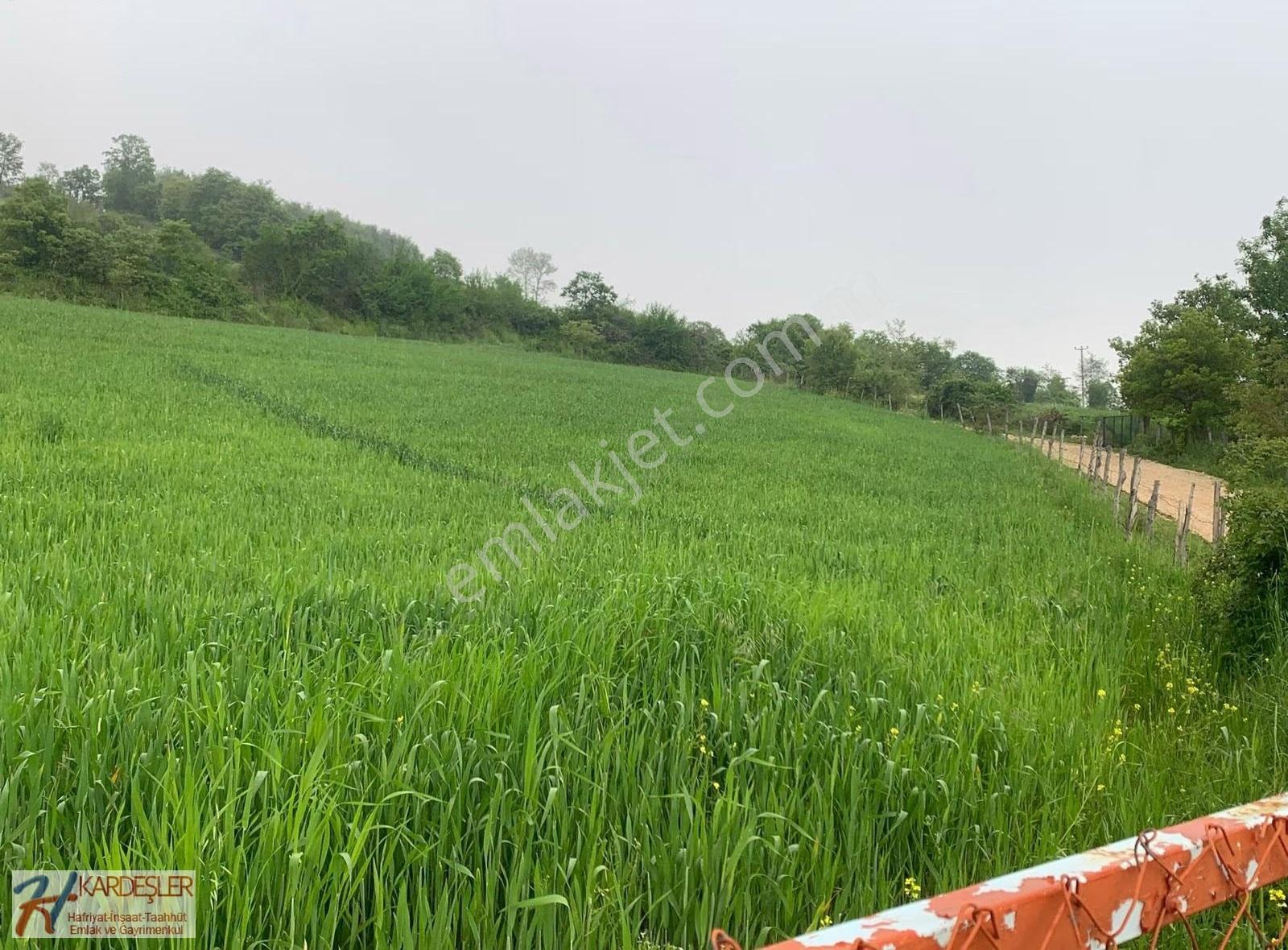 Sakarya Taraklı Avdan Mah. Yola Cephe Köye Yakın 11,000 M2 Arazi - Görsel 4
