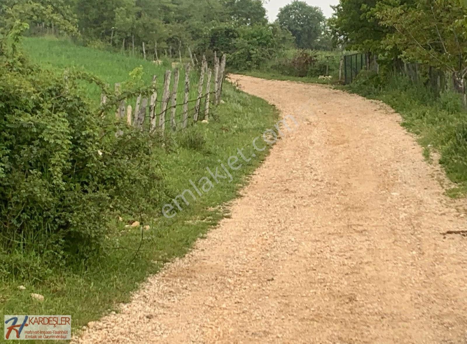 Sakarya Taraklı Avdan Mah. Yola Cephe Köye Yakın 11,000 M2 Arazi - Görsel 2