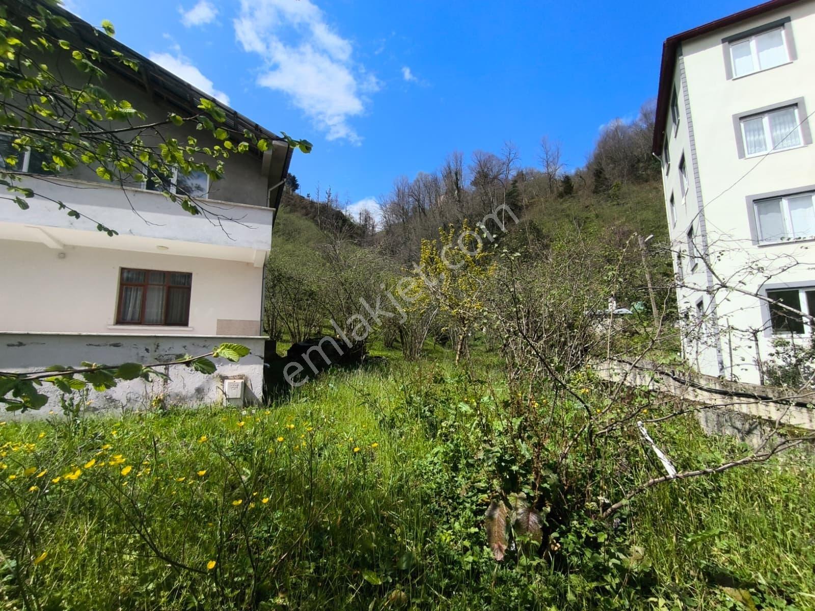 Delta Gayrimenkul'den Giresun Merkez De Yatırımlık Fırsat Arsa. - Görsel 9