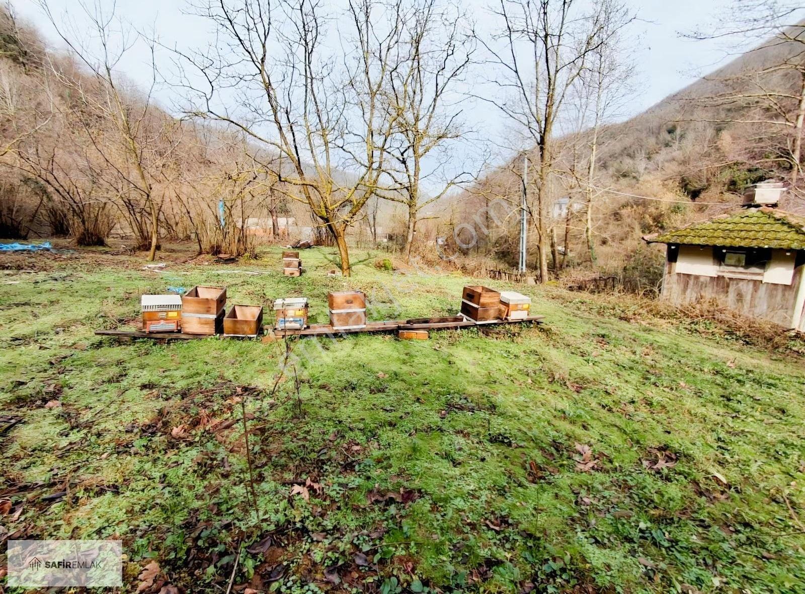 Doğa Harikası Teşvikiye'de Satılık Arsa - Görsel 6