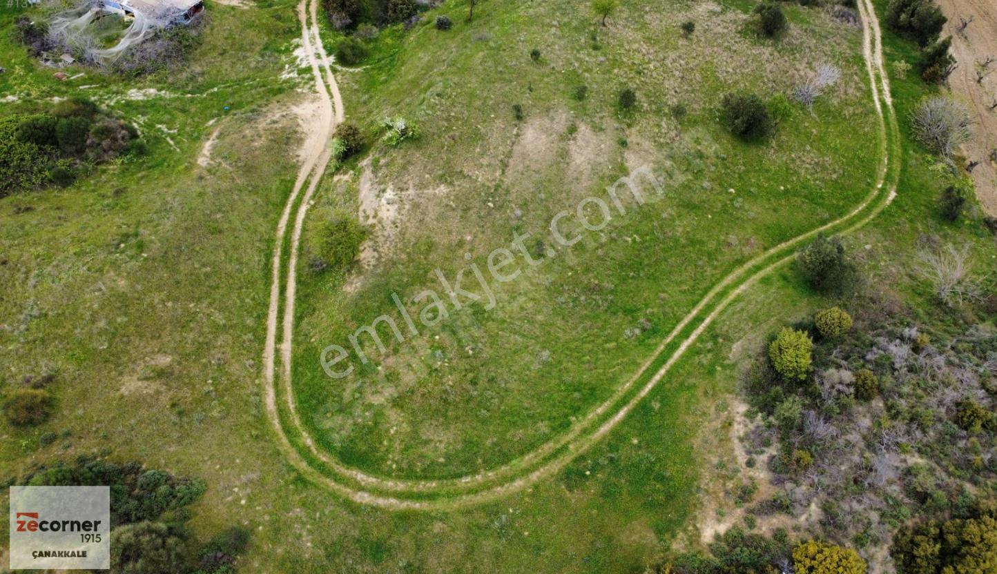 Çanakkale Lapseki Çardak Ta Satılık 5059 M2 Bağ - Görsel 6