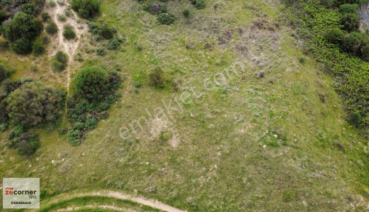 Çanakkale Lapseki Çardak Ta Satılık 5059 M2 Bağ - Görsel 10