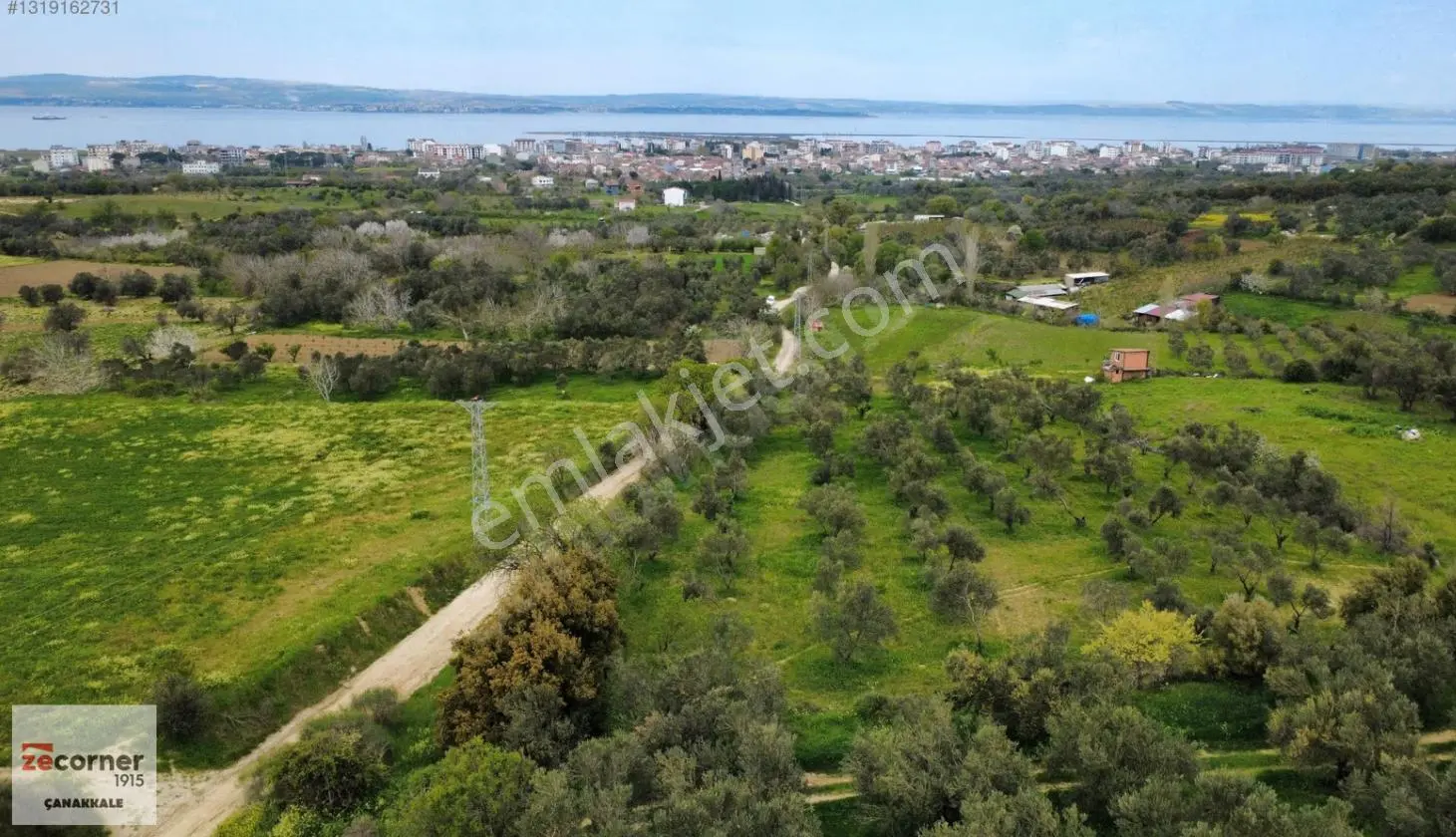 Çanakkale Lapseki Çardak Ta Satılık 5059 M2 Bağ - Görsel 3