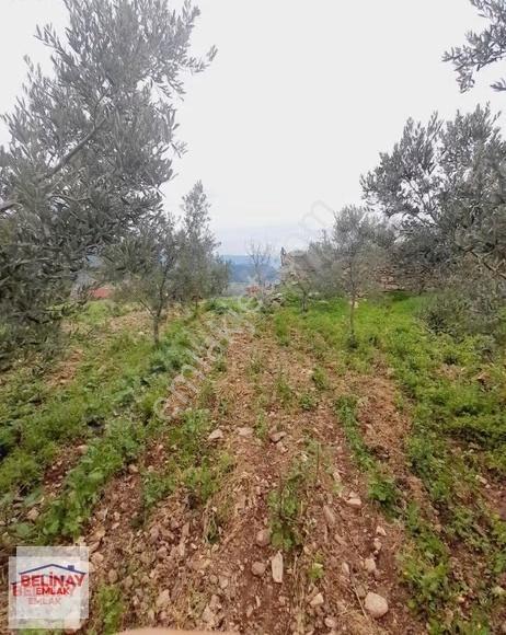 Belinay Emlaktan Villa Konut Projelerine Uygun Satılık Arsa - Görsel 4