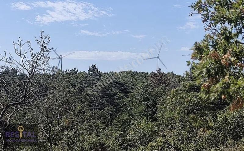 Lapseki Üçpınarda 36 Dönüm Stratejik Yatırım Arazisi