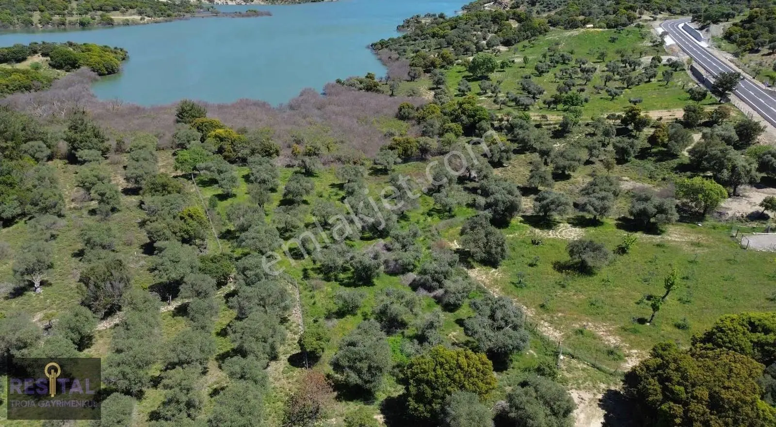 Çankkale Gökçeada Zeytinli Köyde 3.000 M2 Zeytinlik - Görsel 2