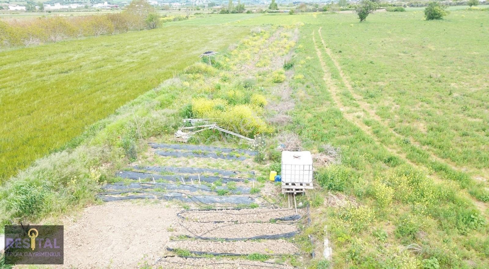 Çanakkale Sarıceli Köyünde Kadastral Yola Cepheli Satılık Tarla - Görsel 28