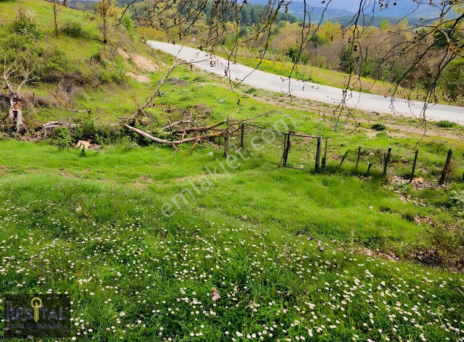 Çanakkale Bayramiç Karaköyde Satılık Harıka Konumda Tarla - Görsel 17